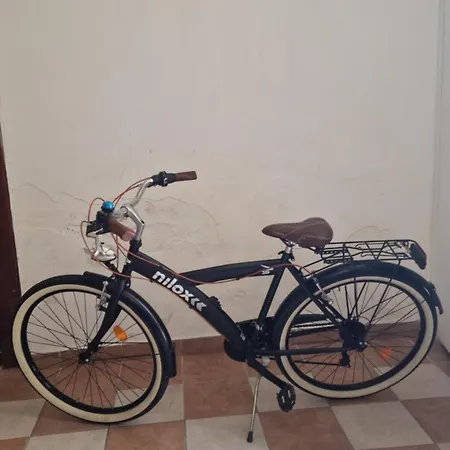 Loftino42 - Monolocale Open Space A Ferrara, Biciclette Incluse Appartamento *